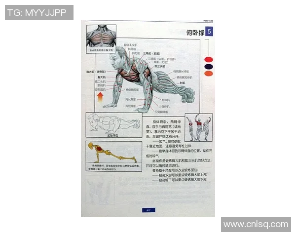 个人运动与健康管理：打造专属健身计划的科学方法与实践心得