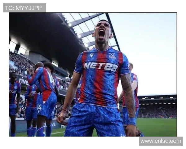 曼城与水晶宫精彩对决回放分析及赛后点评