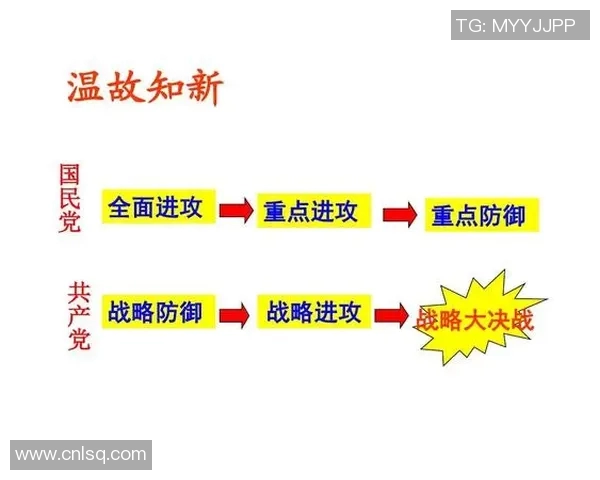 深入分析北京排球队区域防守策略及其在比赛中的应用与效果