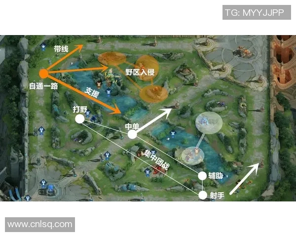 王者荣耀战术解析：深入剖析JDG的区域防守策略与执行细节