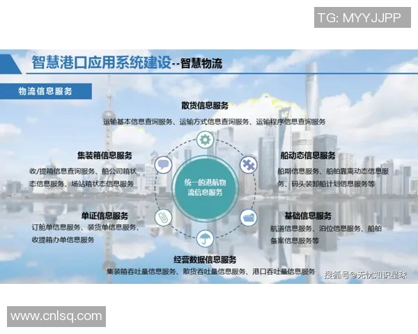 构建智慧物流生态系统推动全球供应链高效协同发展